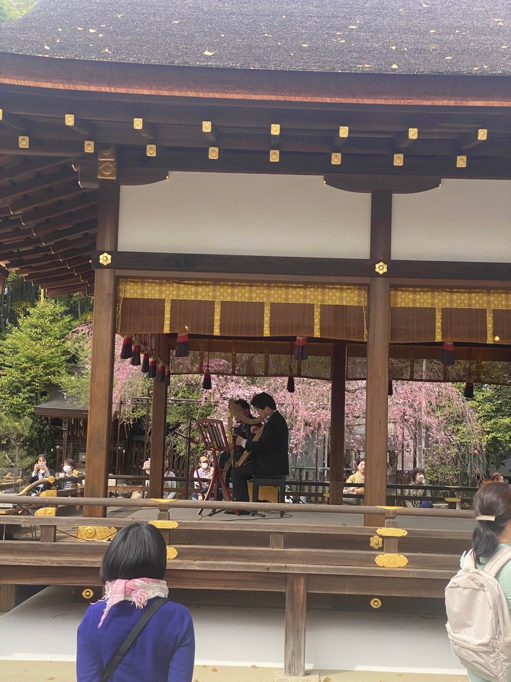 2024年5月の京都ハープ教室